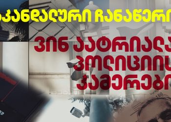 სასახლის ღობის საქმე – ვინ და რა მოტივით გამოიყვანა მწყობრიდან კამერები?