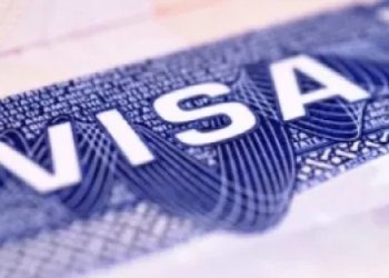 საქართველოში შესაძლოა, ახალი კატეგორიის ვიზა დაინერგოს – ვის და რა შემთხვევაში შეეძლება მიღება