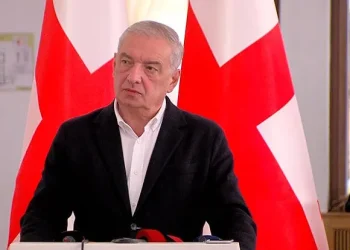 “ეს ხალხი მავნებელთა ჯგუფია, ვინც თავის აქტივობას ხან კარდაკარს არქმევს, ხან დახურულ შეხვედრას” – გია ვოლსკი “ოპოზიციის ალიანსზე“