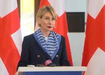 “რადიკალურ ოპოზიციას ნული შანსი აქვს როგორც რევოლუციის, ასევე არჩევნების გზით მოსვლაზე – უნგრეთთან პარალელების გავლება სრული აბსურდია” – ნინო წილოსანი