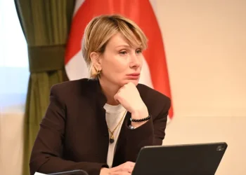 “მომხმარებლისთვის, რომელიც ყოველდღიურად ასხამს საწვავს, ფასი, რომელიც გაქვთ, მაინც ტვირთია და არ აქვს მნიშვნელობა, რომ ფასი არ არის ევროპულ ქვეყნებზე მეტი” – ნინო წილოსანი ნავთობკომპანიების წარმომადგენლებს