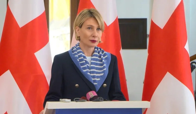 “რადიკალურ ოპოზიციას ნული შანსი აქვს როგორც რევოლუციის, ასევე არჩევნების გზით მოსვლაზე – უნგრეთთან პარალელების გავლება სრული აბსურდია” – ნინო წილოსანი