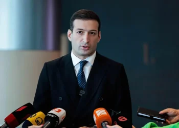 საჯარო და კერძო თანამშრომლობის სააგენტოს თავმჯდომარედ მიხეილ ხიდურელი დაინიშნა