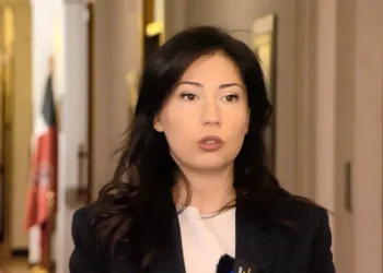 “კობახიძე დამარცხდა კვერცხის ფასთან და ახლა უკვე ხორცის ფასთან ილაშქრებს” – ტატა ხვედელიანი