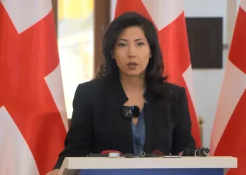 “26 მაისის გამოყენება და 26 მაისის „ოცნების“ მხარდამჭერებად და მოწინააღმდეგეებად დაყოფა ჩვენთვის მიუღებელია” – ტატა ხვედელიანი