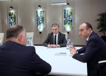საქართველოს სახელმწიფო უსაფრთხოების სამსახურის გენერალურ ინსპექციას დავით არჩვაძე უხელმძღვანელებს