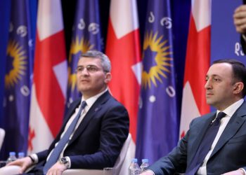 “სურვილებზე ნუ გადავალთ…” – მდინარაძე ღარიბაშვილის შესაძლო შეწყალებაზე