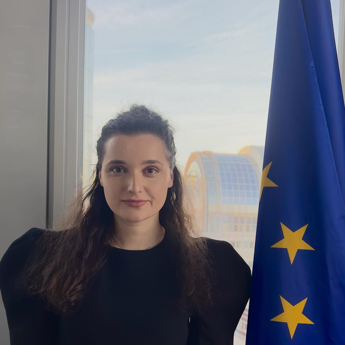 “ევროპარლამენტის მხრიდან აკრძალვა ამ ეტაპზე მხოლოდ TV იმედს ეხება. რუსთავი 2-სა და Pos TV-ის გაეგზავნათ გაფრთხილება, რომ შესაძლოა, მათაც იგივე სანქცია დაუწესდეთ” – ევროპარლამენტის წარმომადგენელი ელენე მეტრეველი