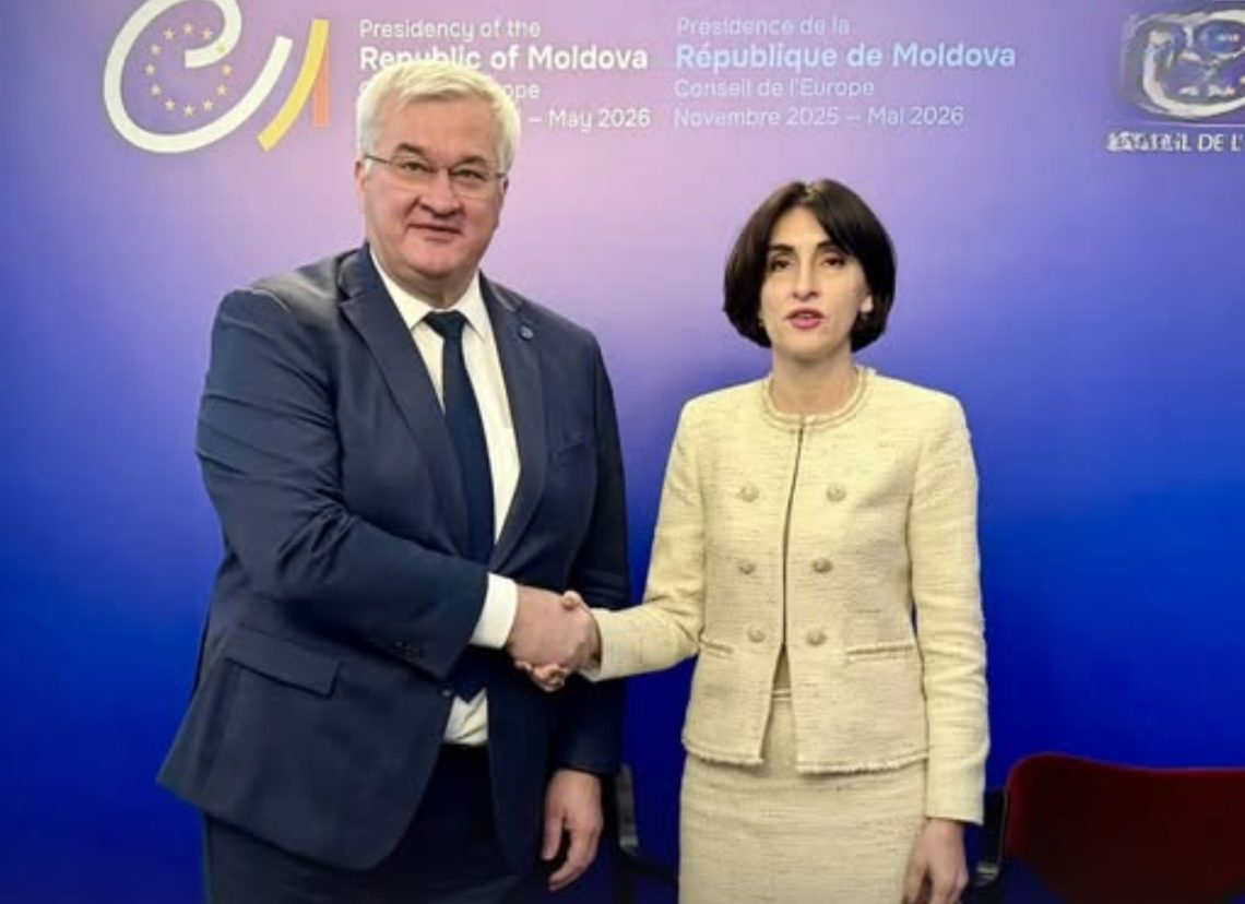 უკრაინის საგარეო საქმეთა მინისტრი, ანდრეი სიბიგა მაკა ბოჭორიშვილს შეხვდა