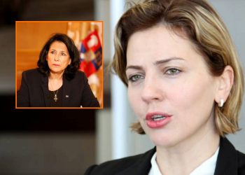 “იმდენი მცდარი ნაბიჯი გადადგა, სათვალავი ამერია” – ანა დოლიძე