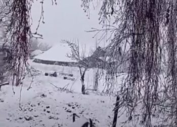 თუშეთი, ომალო დღეს