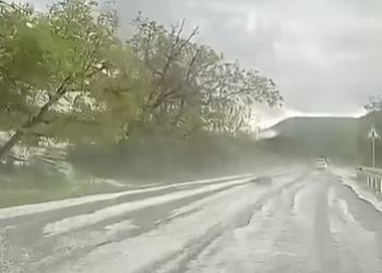 სეტყვა დედოფლისწყაროს მუნიციპალიტეტში