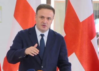 “ევროპარლამენტში არიან „ნაცმოძრაობის“ დაქირავებული ლობისტური ჯგუფები, რაისა კომუნისტკა ოდითგანვე ცნობილია, დანარჩენი: მარგარიტა, კუბილიუსა – ნაკლებად საინტერესოა, რას იტყვიან, ჩვენ ზუსტად ვიცით, რასაც ვაკეთებთ” – ირაკლი ზარქუა