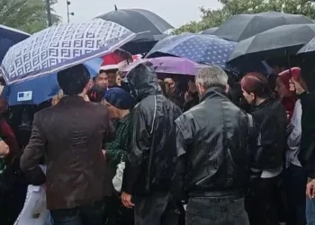 ბათუმის მერიასთან სხვადასხვა სოციალური პრობლემის მქონე მოქალაქეები შეიკრიბნენ და ქალაქის მერთან შეხვედრას ითხოვენ