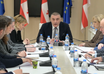 ფასების კომისიის მიერ შემუშავებული დასკვნა სესიაზე არ გავა