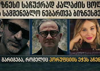 ბიზნესის წილი საჩუქრად კალაძის ცოლს და სამშენებლო ნებართვა ბიზნესმენს – რატომ შეიცვალა განაშენიანების რეგულირების გეგმა?
