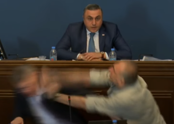 “მდინარაძეს გადაეცით, ძალიან ვნანობ უფრო კარგად რომ არ შემოვარტყი” – ალეკო ელისაშვილი
