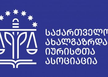 საია-მ 4 პარტიის აკრძალვასთან დაკავშირებით სასამართლო მეგობრის პოზიცია წარადგინა