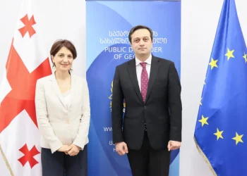 სახალხო დამცველი საქართველოში გაეროს ბავშვთა ფონდის წარმომადგენელს შეხვდა