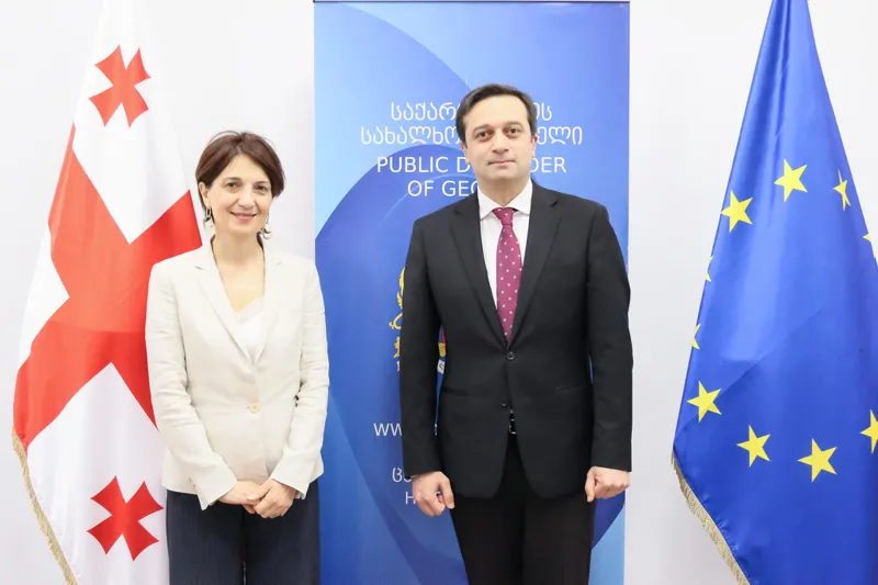 სახალხო დამცველი საქართველოში გაეროს ბავშვთა ფონდის წარმომადგენელს შეხვდა