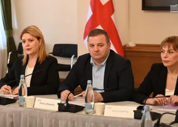 “კომისიის დასკვნას ხელს არ მოვაწერეთ – თუ გვინდა ფასები შემცირდეს, საჭიროა ჯანსაღი კონკურენცია” –  შალვა კერესელიძე
