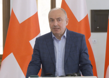 მაჭარაშვილი: (ფასების კომისიის) დასკვნაში ვერ დავინახეთ, 1-2 თვის შემდეგ ვის უნდა მოვთხოვოთ, რა გეგმა აქვს აღმასრულებელ ხელისუფლებას
