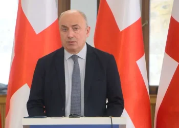 “ამერიკასა და ევროპის ქვეყნებში გადაცდომები არის ისეთი, რომ ლეტალურად მთავრდება ხოლმე აქციის მონაწილეებთან პოლიციელების შეტაკება – მადლობა ღმერთს, საქართველოში გადაცდომები არც ძალიან ბევრი ყოფილა და არც ლეტალური” – გურამ მაჭარაშვილი