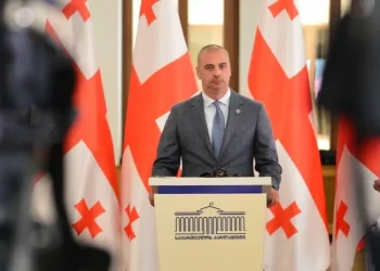 “გადაცდომასთან დაკავშირებით დავალება არავის გაუცია, მინდა დავიჯერო, რომ მათ ნერვებმა უმტყუნა” – ლევან მაჭავარიანი