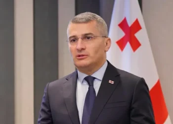 “შსს-ს ახლად შექმნილ სამმართველოს უფლება ექნება, მოიძიოს დარღვევის ფაქტები და სასამართლოს ადმინისტრაციული სახდელის დადების მოთხოვნით მიმართოს” – მამუკა მდინარაძე