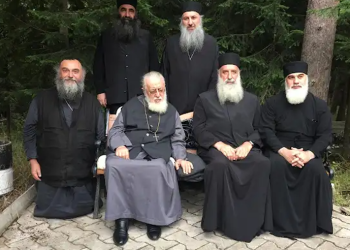 მეუფე ნიკოლოზი ილია მეორის წმინდანად შერაცხვას ითხოვს – მიმართვა, რომლის წაკითხვაც გაფართოებულ კრებაზე სურდა