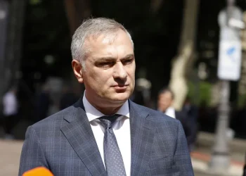 პაატა სალიამ “მოსკოვის მექანიზმის” დასკვნას “არასერიოზული” უწოდა