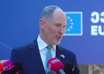 მე ამას პირადად არ ვიღებ, თუ რას ამბობენ ქართველი პოლიტიკოსები ჩემ შესახებ – ჰერჩინსკი