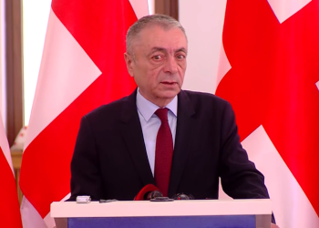 “მინდა მივულოცო შეერთებულ შტატებს” – შარმანაშვილი შაიშმელაშვილისთვის პოლიტიკური თავშესაფრის მიცემაზე