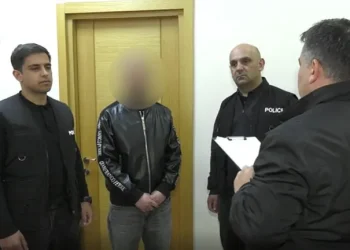 რუსთავში ავტოსადილერო კომპანიის დირექტორი დიდი ოდენობით თანხის თაღლითურად დაუფლების ბრალდებით დააკავეს
