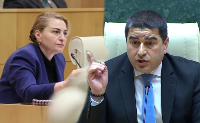 “პუჩისტები”, “გაქცეულები” და “სააკაშვილის მადიდებლები” – დაპირისპირება პარლამენტში