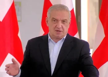 “ბოდიში თუ მოუხადეთ ზელენსკისო, იმას კი არავინ კითხულობს, უკრაინამ თუ აღიარა, რომ ელჩის გამოგდება არასწორი იყო” – გია ვოლსკი