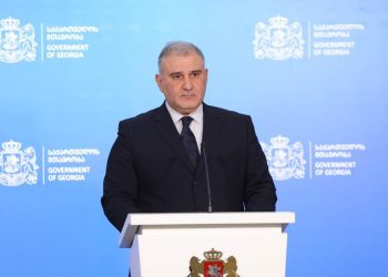 “მუშაობა გაგრძელდება სამუშაო ჯგუფის ფორმატში, ეს კრიტიკულად მნიშვნელოვანია, მადლობა დიუშენით დაავადებულ ბავშვთა მშობლებს კონსტრუქციული დამოკიდებულებისთვის” – მიხეილ სარჯველაძე