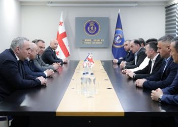 საგამოძიებო სამსახურის უფროსის მოადგილედ ირაკლი ნარსია დაინიშნა