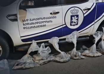 გარემოსდაცვითი ზედამხედველობის დეპარტამენტმა თბილისში ბრაკონიერობის ფაქტი გამოავლინა