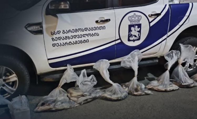 გარემოსდაცვითი ზედამხედველობის დეპარტამენტმა თბილისში ბრაკონიერობის ფაქტი გამოავლინა