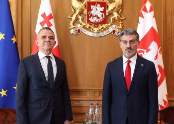 მიხეილ ყაველაშვილი ბულგარეთის ელჩს შეხვდა
