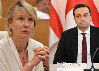“არ შემეძლო, ეს გამეტარებინა”- ნინო წილოსანი იოსელიანს