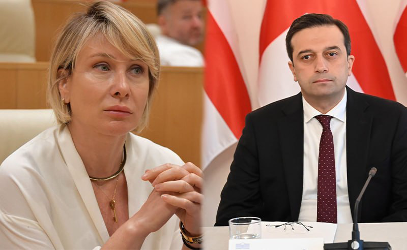 “არ შემეძლო, ეს გამეტარებინა”- ნინო წილოსანი იოსელიანს