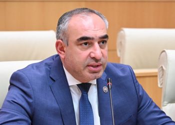 ავარიები და მსხვერპლი იზრდება – ბოჟაძე ჯარიმების ეფექტიანობაზე კითხვებს სვამს