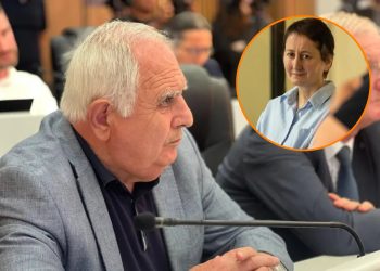 “მზია ამაღლობელი კრიმინალია…პოლიციის უფროსს ხელს რომ გაარტყამს ქალი, კრიმინალია” –   დავით თედორაძე