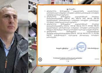 ელისაშვილის საქმე – ვრცელდება ვიდეოტექნიკური ექსპერტიზის დასკვნა