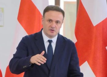 “ევროსაბჭოს რეზოლუციას ჩალის ფასიც კი არ აქვს – ჩალას უფრო მეტი ღირებულება შეიძლება ჰქონდეს” – ირაკლი ზარქუა