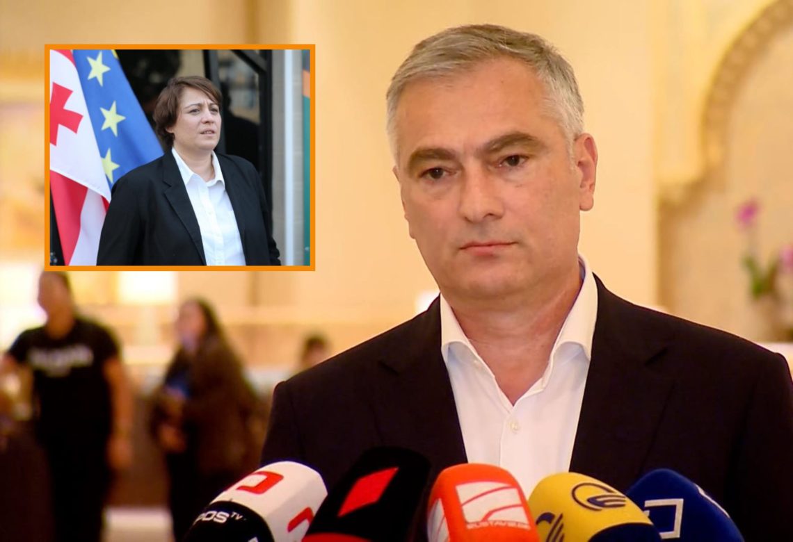 “ელენე ხოშტარიას ყველა მომსახურება გაეწია…რაიმე საგანგაშო მდგომარეობა ამჟამად არ არის” – პაატა სალია
