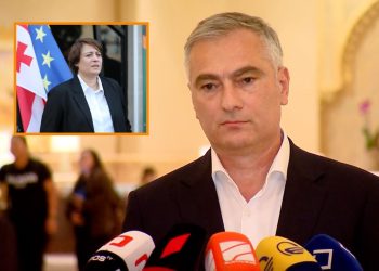 “ელენე ხოშტარიას ყველა მომსახურება გაეწია…რაიმე საგანგაშო მდგომარეობა ამჟამად არ არის” – პაატა სალია