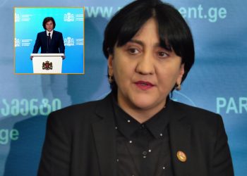 “არანორმალურ ქმედებად მიმაჩნია – ჯერ გააწამო ადამიანები და მერე გაუწოდო დახმარების ხელი“ – ირმა ინაშვილი